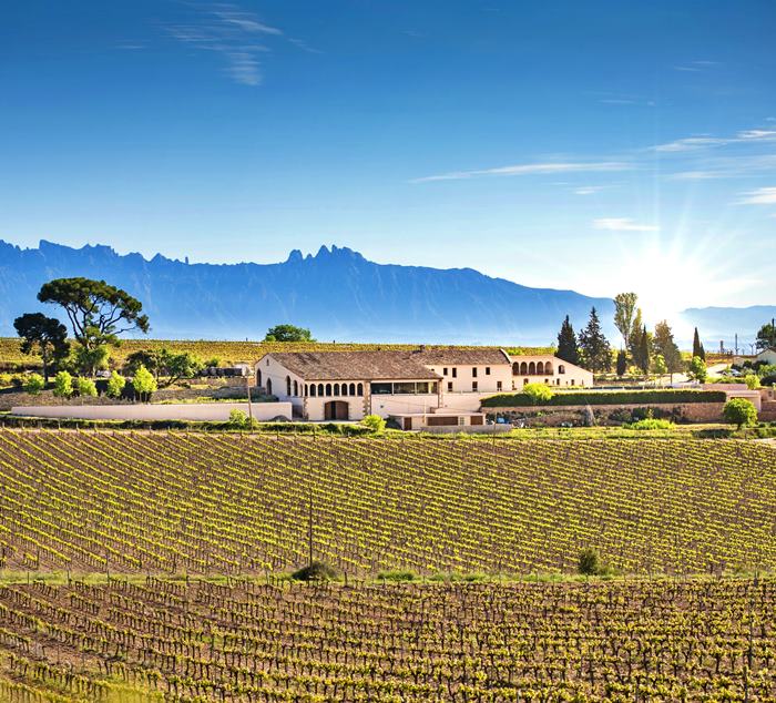 Su filosofía es poner en valor el terroir, la zona y la tradición, practicando una viticultura sostenible con la mínima intervención, que se refleja en sus vinos de producciones limitadas y elaborados solo con uvas de viñedos propios.