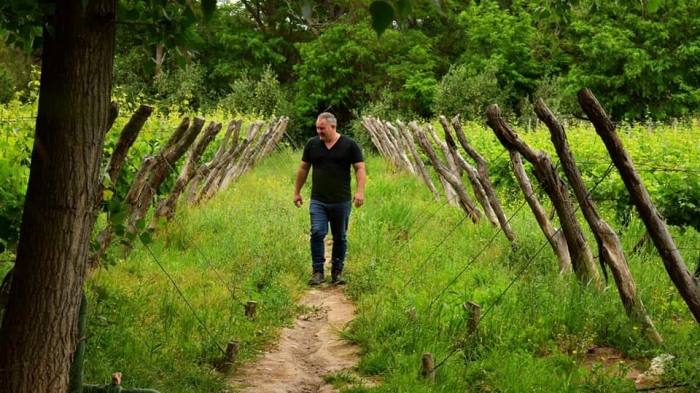 Martín Azcona, Winemaker de Bodega Familia Azcona