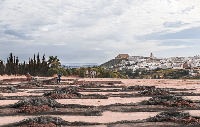 Paseras - Premio Fotografía Turística Unicornio