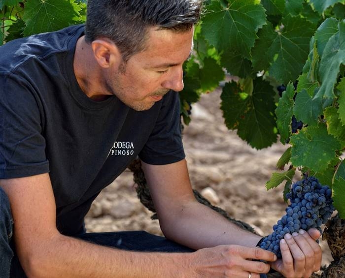 Javier García, Director Técnico de Bodegas Pinoso