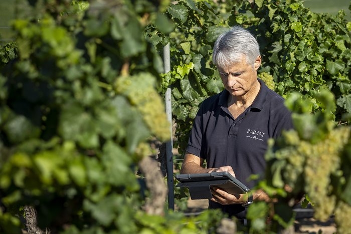 director de Raimat, Joan Esteve