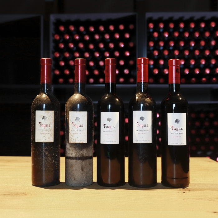 Fagus, el alma de Bodegas Aragonesas
