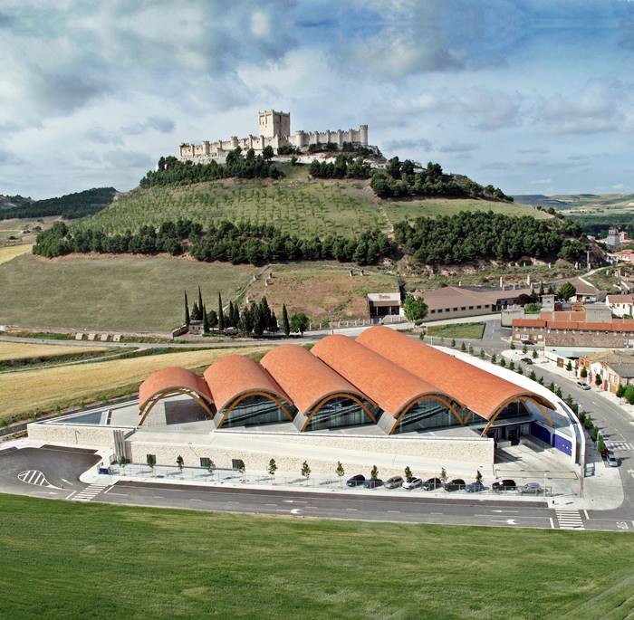 Protos Bodegas