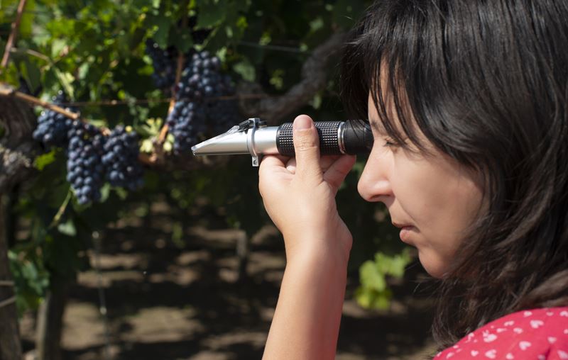 What are Brix, Baumé or Oechsle?