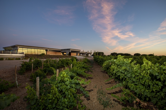 Bodega Beronia Rueda