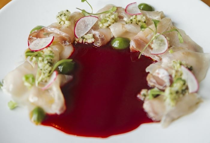 Tiradito de pargo