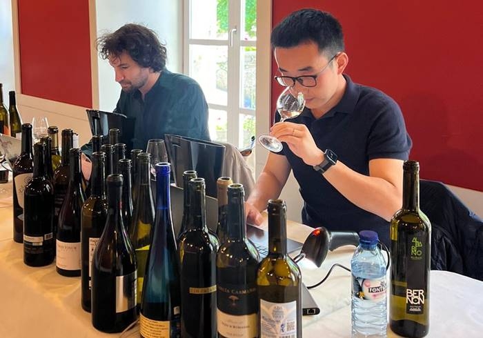 Expertos de la Guía Peñín se rinden ante la calidad de los vinos de Rías Baixas