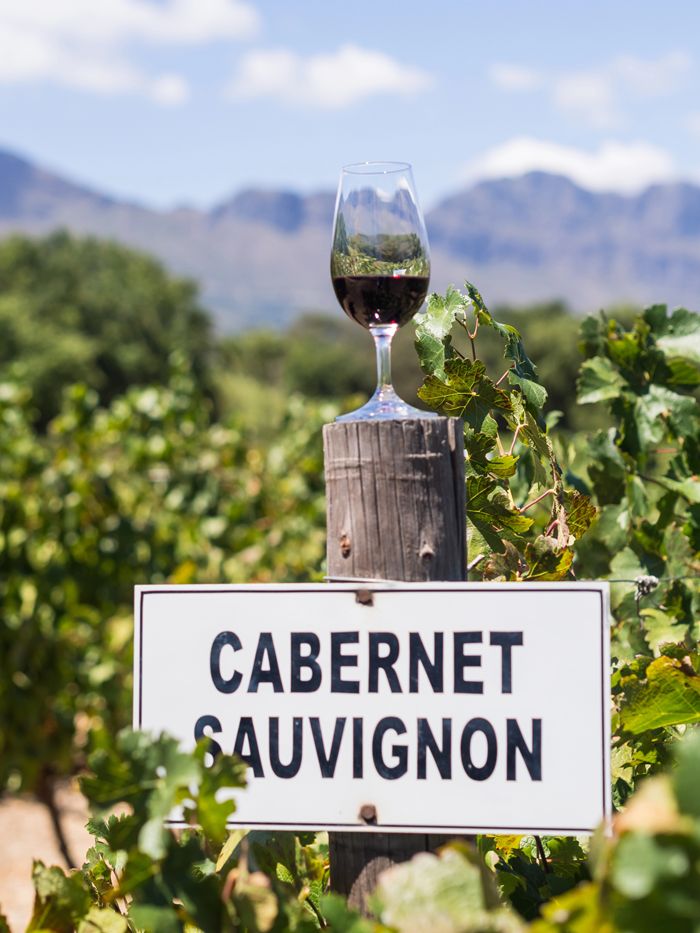 Diversidad y carácter en el Cabernet Sauvignon