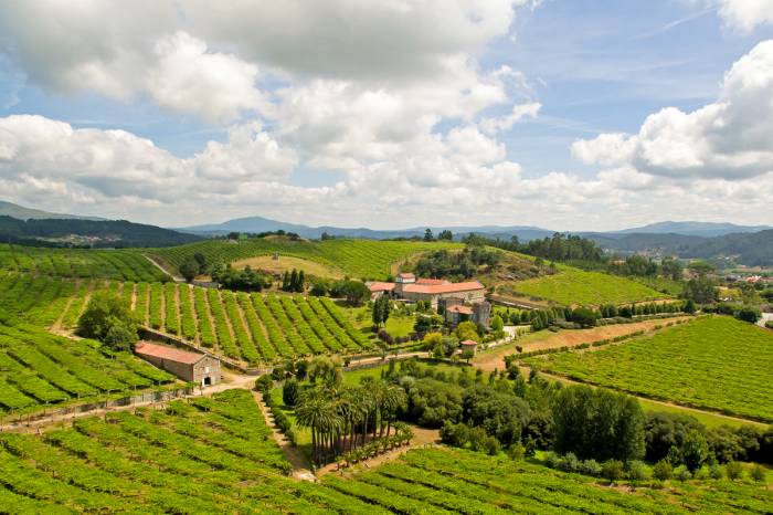 Pazo Baión abre sus puertas en Semana Santa con visitas guiadas y catas de albariños