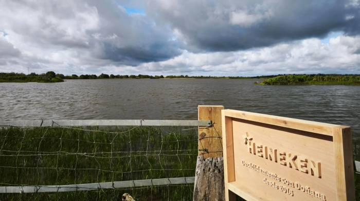 Heineken España devuelve más agua a la naturaleza de la que utiliza en su producción