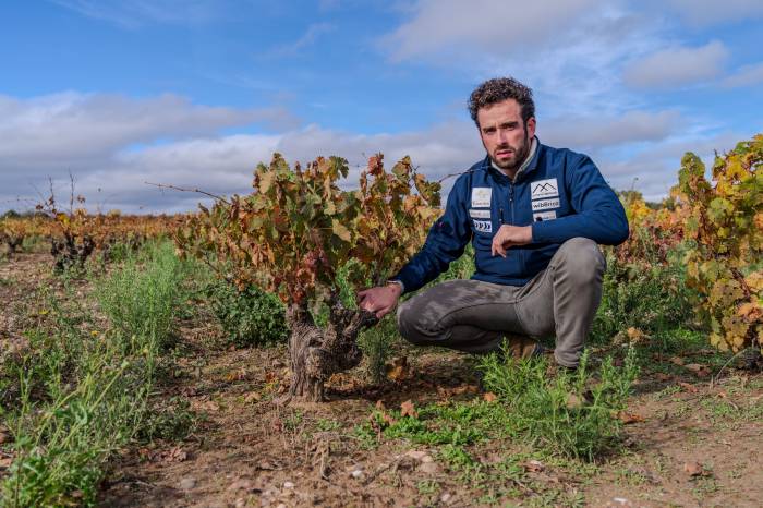 Antonio Serrano Viticultor, elegida Bodega Revelación en los Best In Class Wine Awards 2024