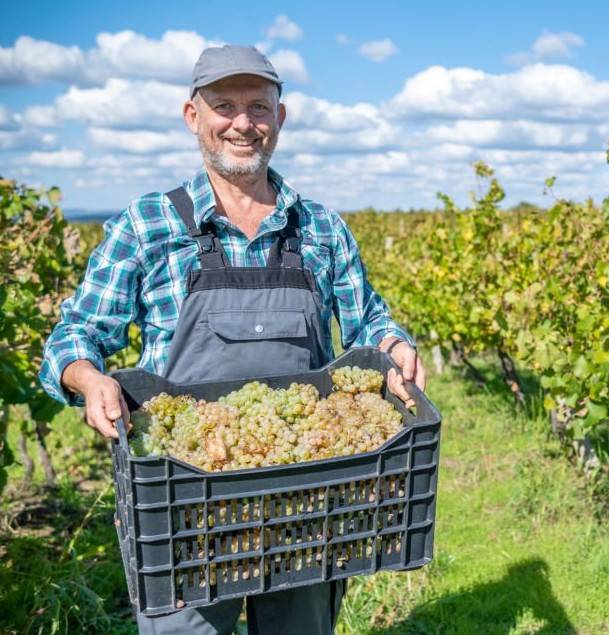 La futura PAC se perfila con más apoyo a pequeñas explotaciones y ajustes en sus objetivos ambientales