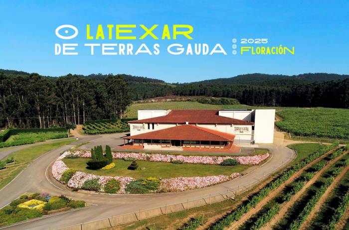 Terras Gauda celebra una jornada de enoturismo con música, arte y vino en su viñedo de O Rosal Terras Gauda celebra una jornada de enoturismo con música, arte y vino en su viñedo de O Rosal