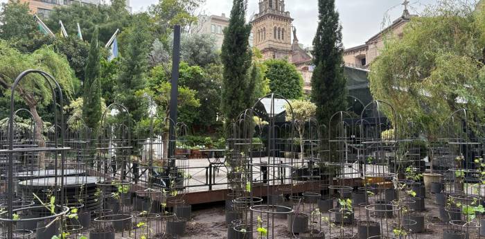 El hotel InterContinental impulsa el primer viñedo urbano en Buenos Aires con variedades emblemáticas argentinas