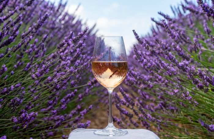 Provence emerges as global leader in premium rosé wine production and export