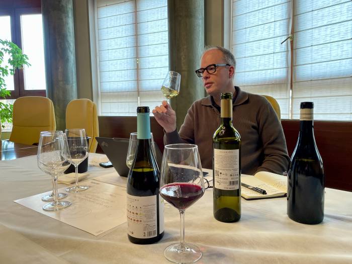 Miquel Hudin analiza el presente y futuro de los vinos de Somontano en su último informe  