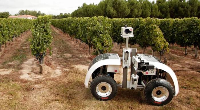 El sector vitivinícola español impulsa 73 proyectos de innovación con una inversión de 100,6 millones de euros