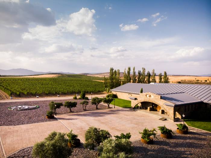 Finca Río Negro impulsa el enoturismo con visitas guiadas y catas en plena Sierra Norte de Guadalajara