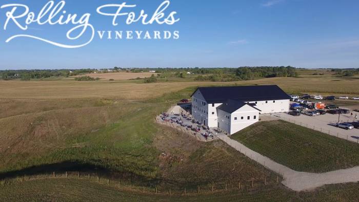 Minnesota winery sees opportunity as tariffs raise prices on imported wines