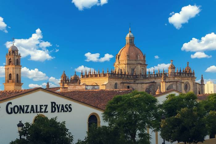 González Byass obtiene el primer préstamo sostenible del sector vitivinícola español