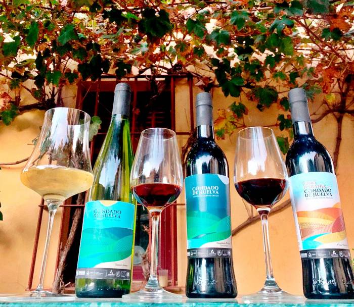 El Condado de Huelva consolida su identidad vitivinícola con una oferta diversa y tradición centenaria