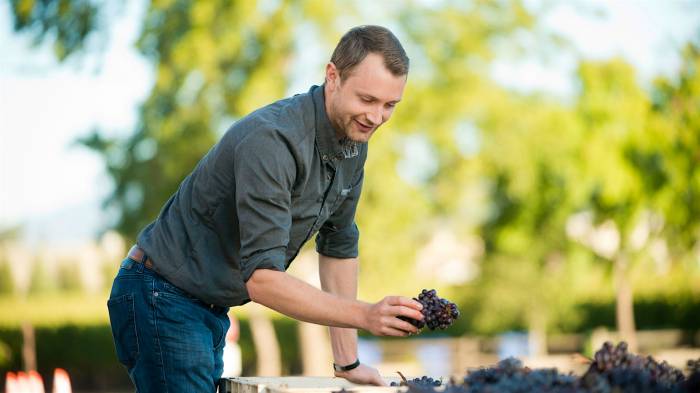 Napa Valley launches 2025 grape harvest amid hopes for third exceptional vintage and shifting market dynamics