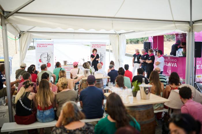 Eslava celebra una nueva edición del festival Villa de Viñas con éxito de participación