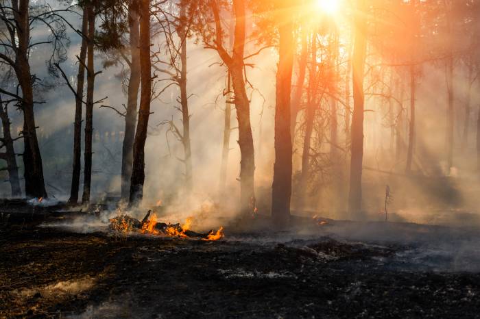 Los incendios en Zamora y León provocan cancelaciones masivas en alojamientos rurales
