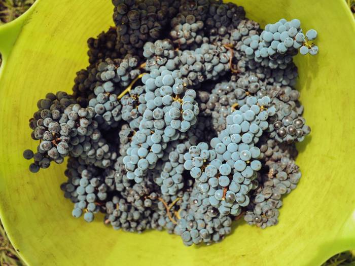 El sector bodeguero suma el 22% de las sanciones de la Agencia de Información y Control Alimentario en 2024