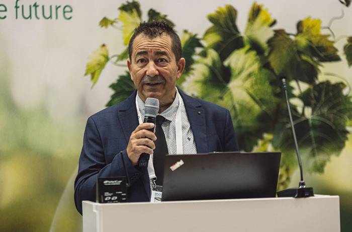 International viticulture experts gather in Germany to address climate and sustainability challenges in grape growing