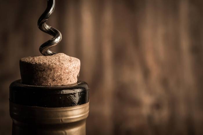 Natural cork products win tariff exemption in new US-EU trade agreement