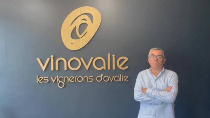 Vinovalie delays payments to winegrowers as merger strains finances and banks withhold credit