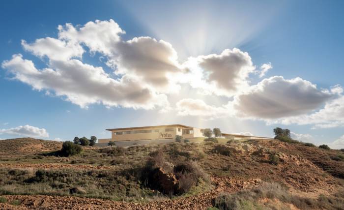 Bodegas Protos invertirá 16 millones en una nueva bodega en Soria para vinos premium