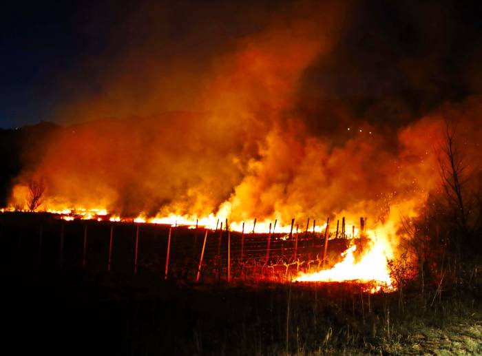 Smoke and fire threaten centuries of wine heritage