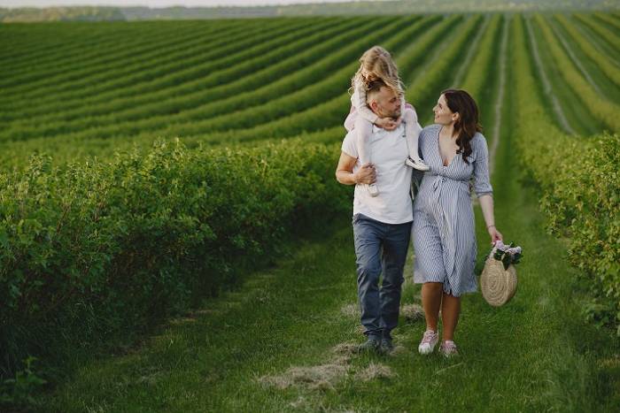 Napa Valley wineries adapt as more visitors choose not to drink alcohol