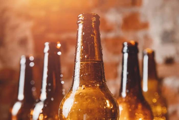 Estonia and Portugal seek entry into Kerala beer market as foreign brands gain traction