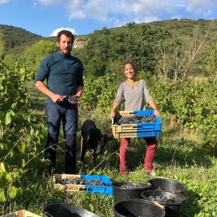 French vineyard wins national innovation award for agroecology in historic first