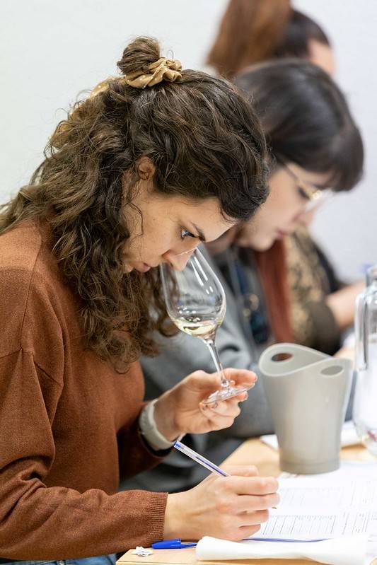 La Cátedra de Agroturismo y Enoturismo de Canarias consolida su proyección internacional y refuerza alianzas estratégicas