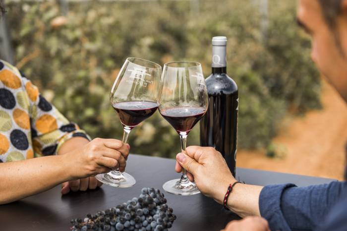 La Ruta del Vino de La Mancha crece como destino gastronómico y enoturístico en Castilla-La Mancha
