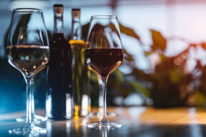 El Grupo Paraguas crea el primer instituto académico del vino en español y sirve 350.000 botellas al año