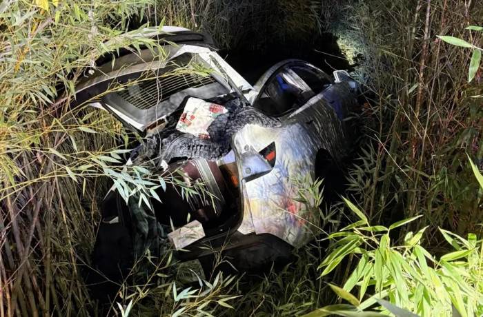 Founder of Mental Health Startup Arrested After Alleged Arson Attempt and Tesla Crash at California Winery