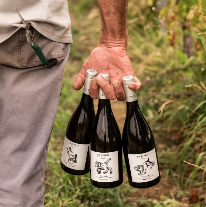 La Ponca Winery Earns 95 Points and Multiple Awards in Just Four Years