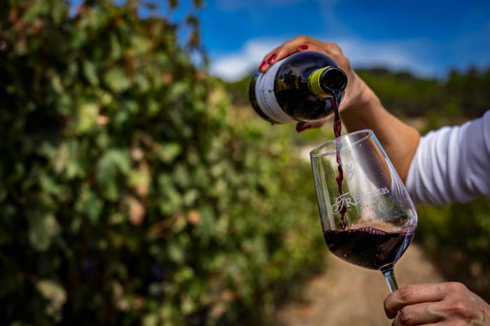 Vegantigua 2024 de Vega de Yuso logra dos oros internacionales tras estrenar nueva nave de producción