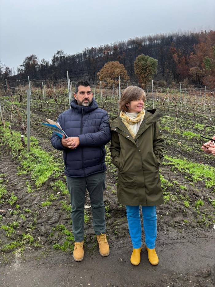 Valdeorras firma el primer acuerdo en España con Fire Wine para prevenir incendios en viñedos