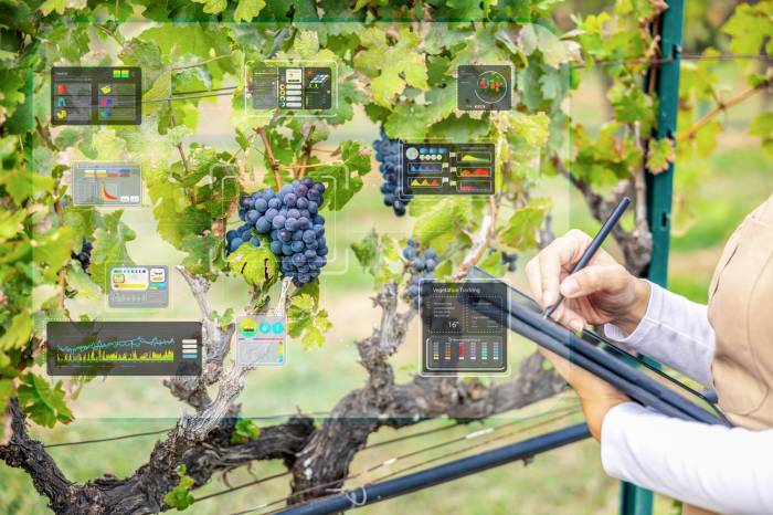 Only 17 Percent of Wine Companies Can Respond to Supply Chain Disruptions Within 24 Hours
