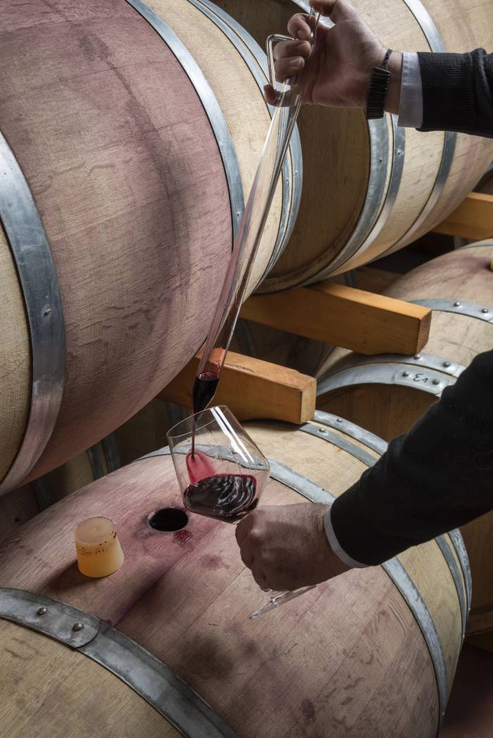 Uruguayan Study Finds Tannat Wines With 76% Less Sulfites Match Traditional Taste