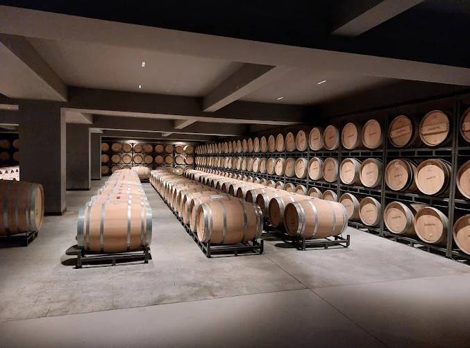 El 87 % de los socios de Bodegas Sonsierra aprueba su transformación en sociedad limitada para atraer inversión