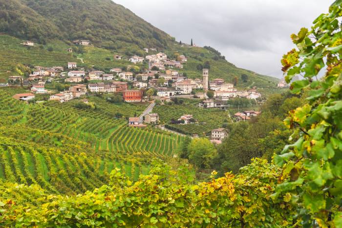 Two Italian Regions to Share “Wine City” Title for First Time, Involving 28 Municipalities in 2026 and 2027