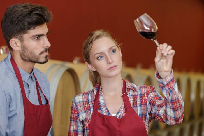 French Organic Wine Sales Rise 7% in 2024 as Younger Drinkers Drive Demand