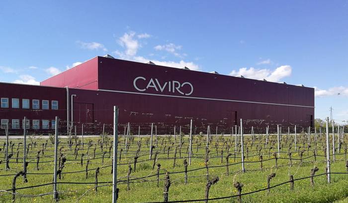 Caviro Group Sees 9% Revenue Drop to €351 Million but Doubles Net Profit Amid Global Wine Slump